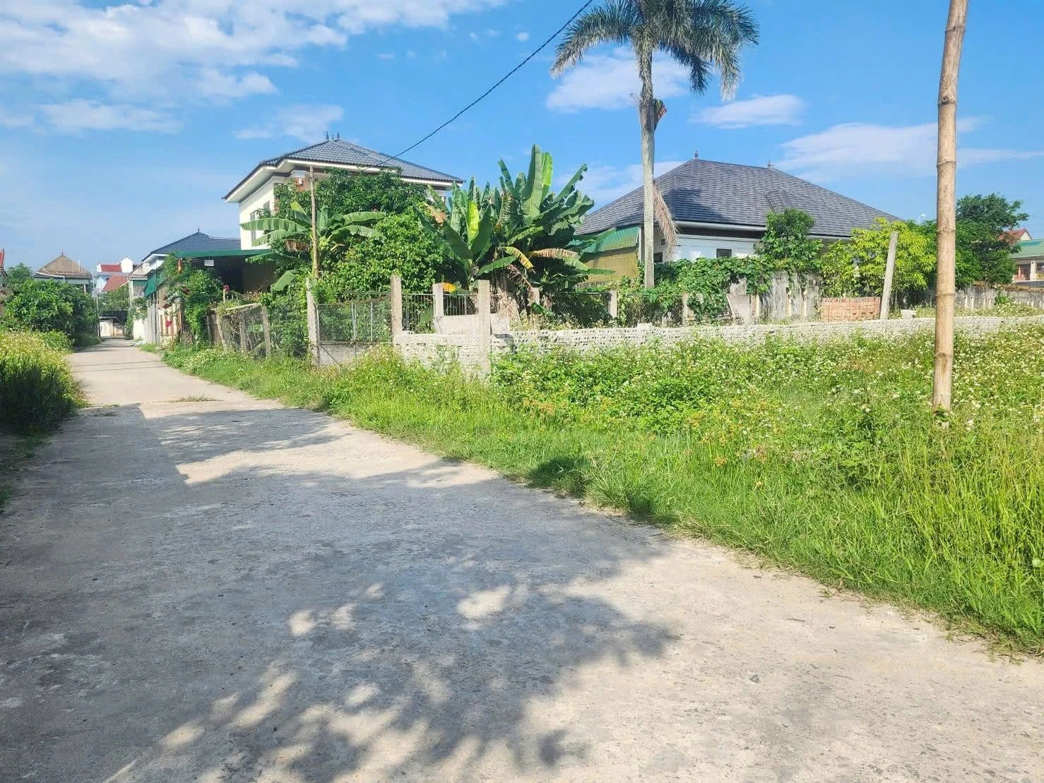 Bán đất Nghi Thái 166m2, giá 2 tỷ 5 - Ảnh 1