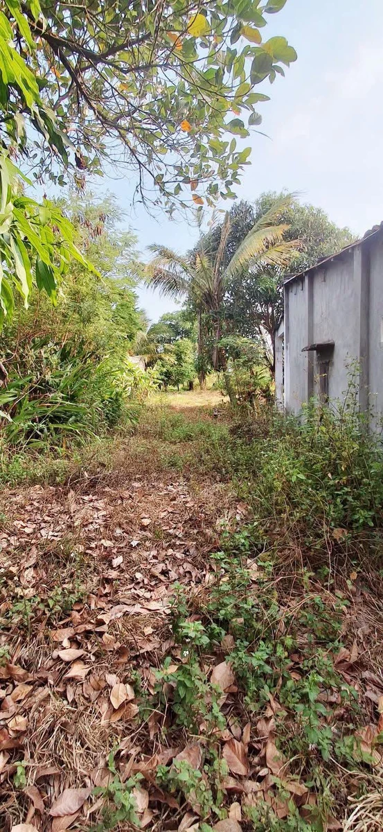 Bán đất 200m² kp Đại Thiện, Bình Thuận - Ảnh thu nhỏ 3