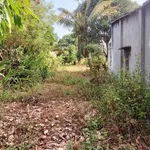 Bán đất 200m² kp Đại Thiện, Bình Thuận - Ảnh thu nhỏ 3
