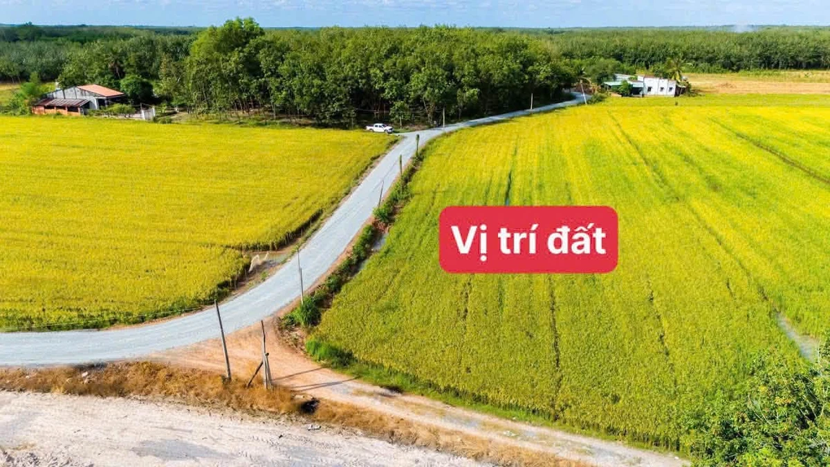 Bán đất mặt tiền thổ cư Tân Biên Tây Ninh 250m2 - Ảnh 1
