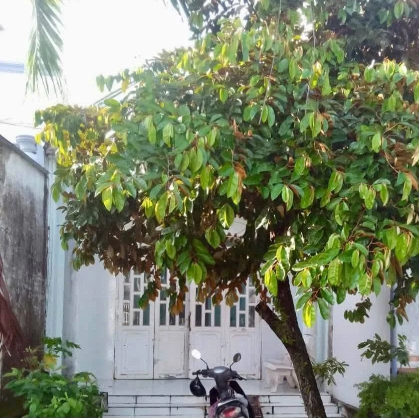Bán nhà Ngọc Hân Công Chúa Rạch Giá 4.5x24m giá 1 tỷ 7 - Ảnh 1