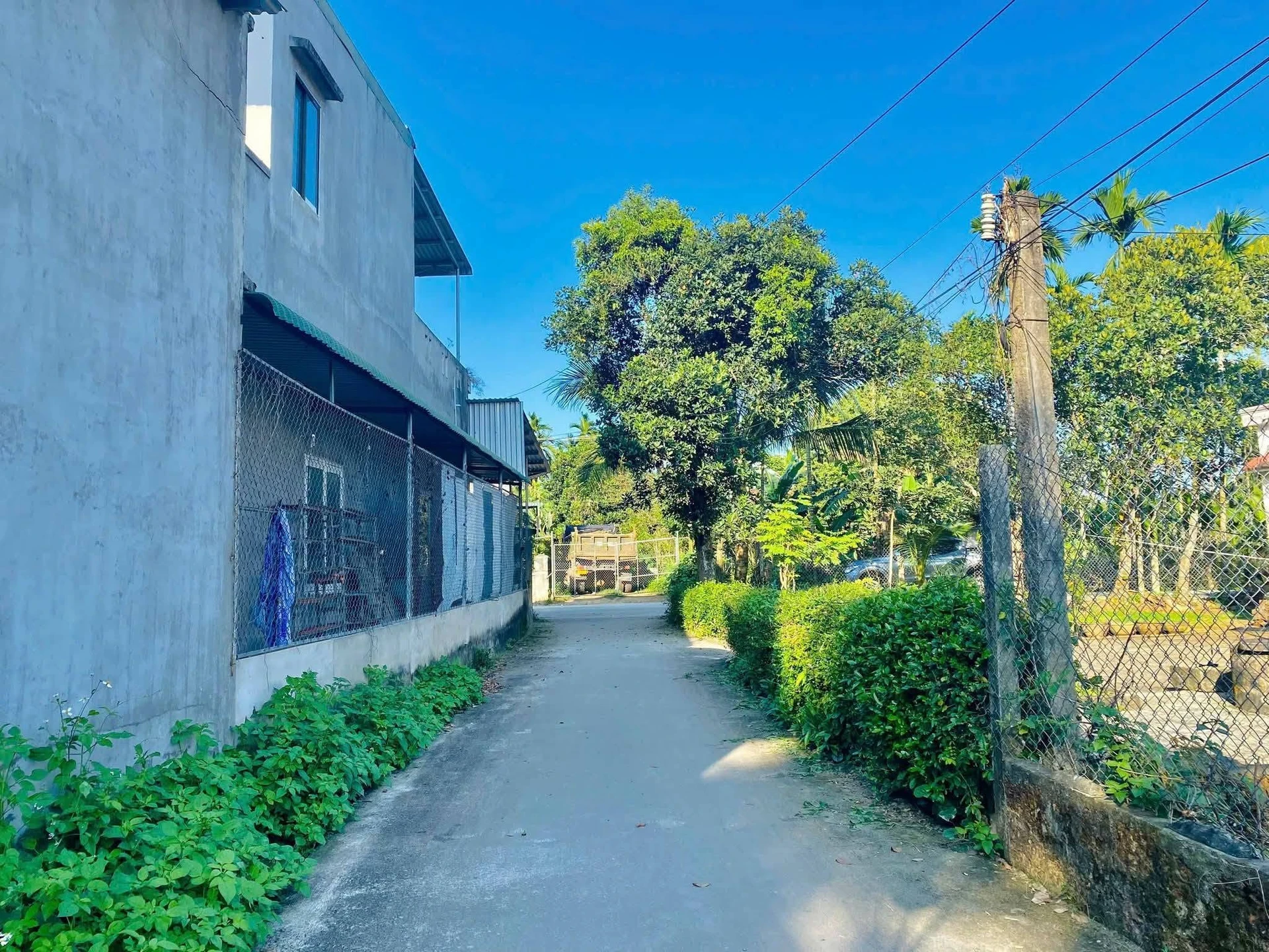 Bán đất 96m² Thọ Phong 599 triệu - Ảnh 1