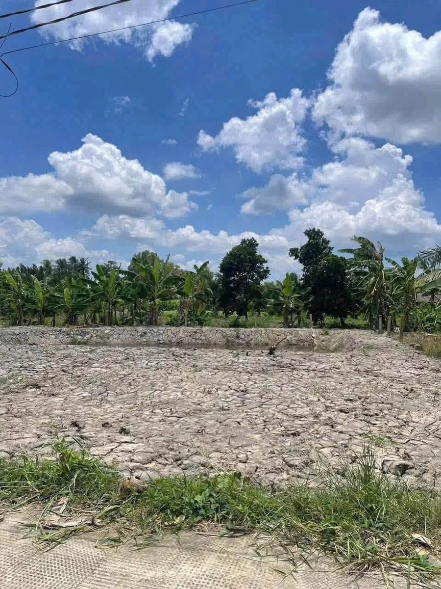 Bán đất vườn 1540m² Vĩnh Công Tây Ninh giá 999 triệu - Ảnh thu nhỏ 4