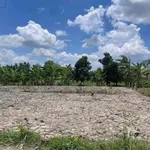 Bán đất vườn 1540m² Vĩnh Công Tây Ninh giá 999 triệu - Ảnh thu nhỏ 4