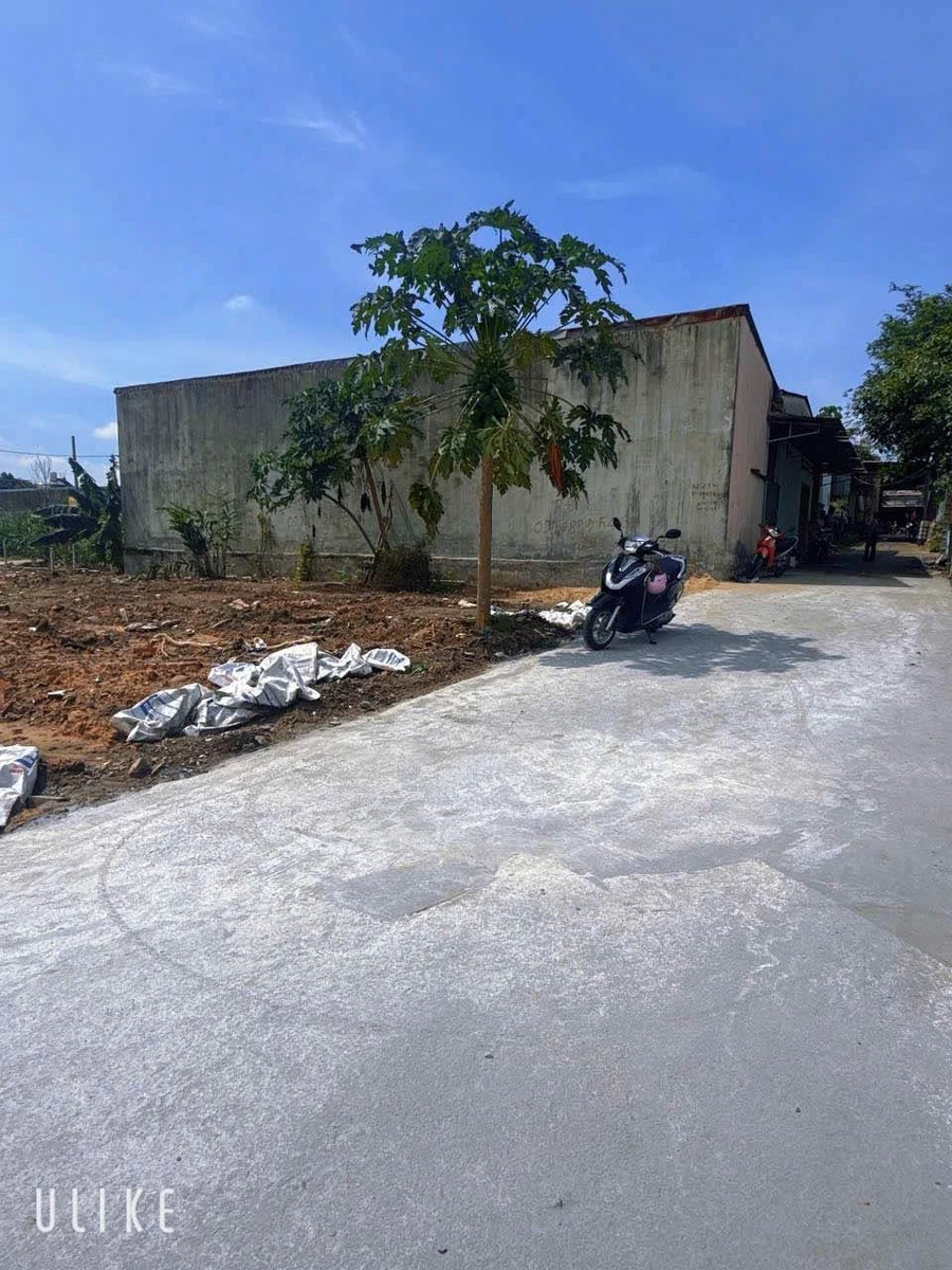 Bán đất sổ riêng 80m² 1 sẹt Chợ Đêm Thiên Bình Quận 12 - Ảnh thu nhỏ 3