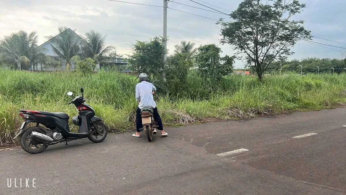 Bán đất D90 Tân Phước 13500m² 42 tỷ - Ảnh thu nhỏ 2