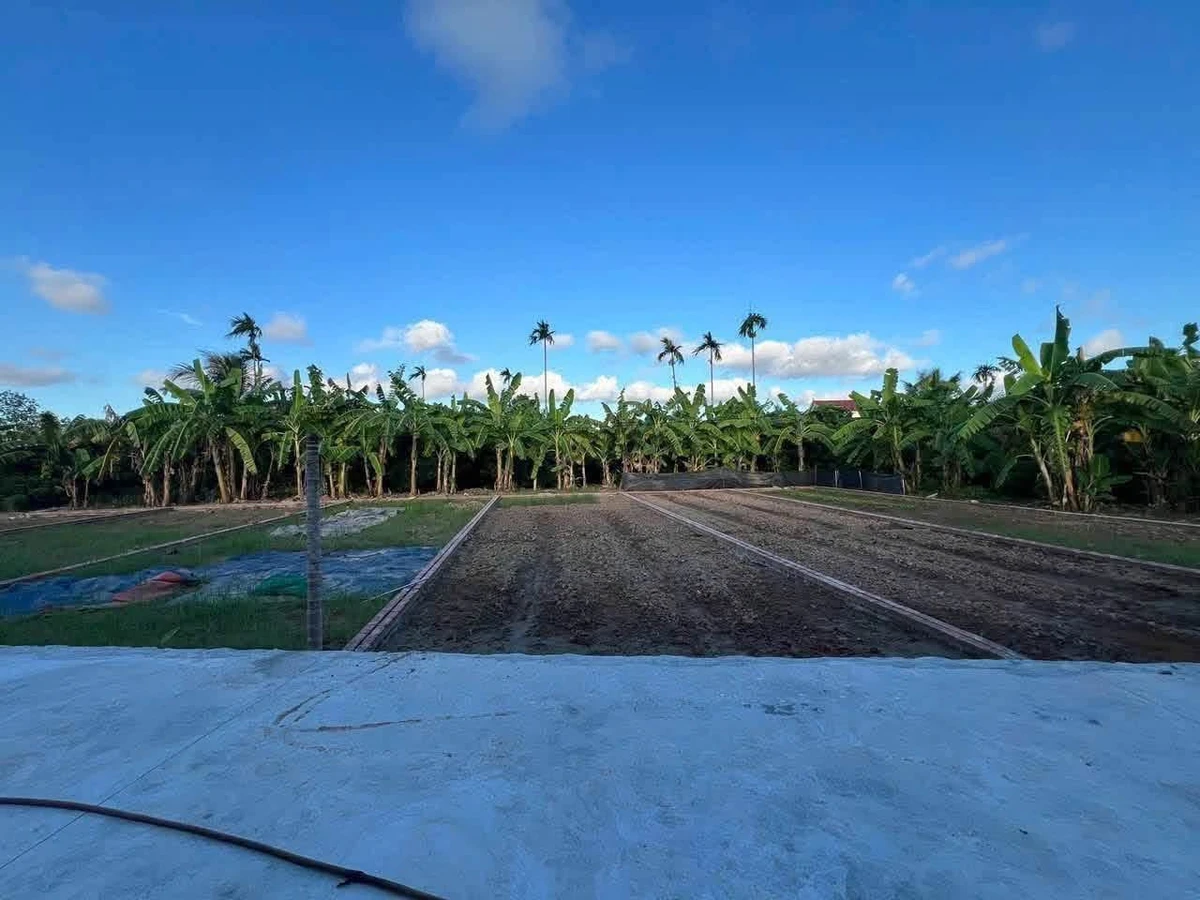 Bán đất 93m2 hơn 300 triệu tại Thanh Quang - Ảnh 1