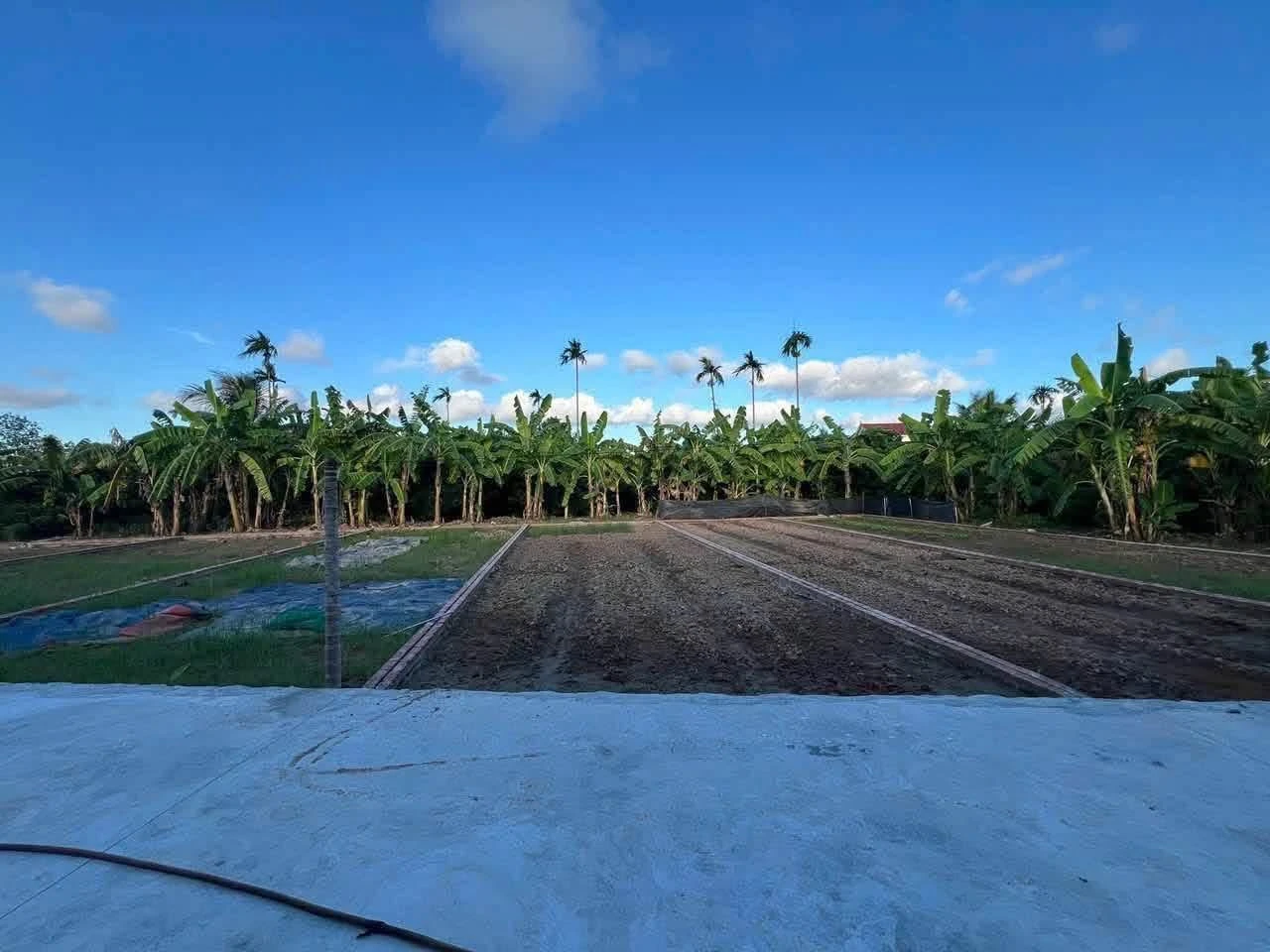 Bán đất 93m2 hơn 300 triệu tại Thanh Quang - Ảnh 1