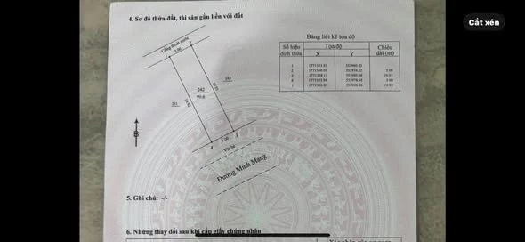 Bán cặp đất mặt tiền Minh Mạng 200m² gần biển Đà Nẵng - Ảnh thu nhỏ 4