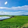 4700m2 mặt đường lớn săn mây và ruộng bậc thang trước mặt. Chính chủ - Ảnh thu nhỏ 15