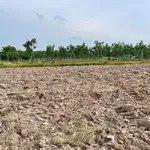 Bán đất gò cao 400 m² tại Châu Thành, Tây Ninh 1 tỷ 50 triệu - Ảnh thu nhỏ 2