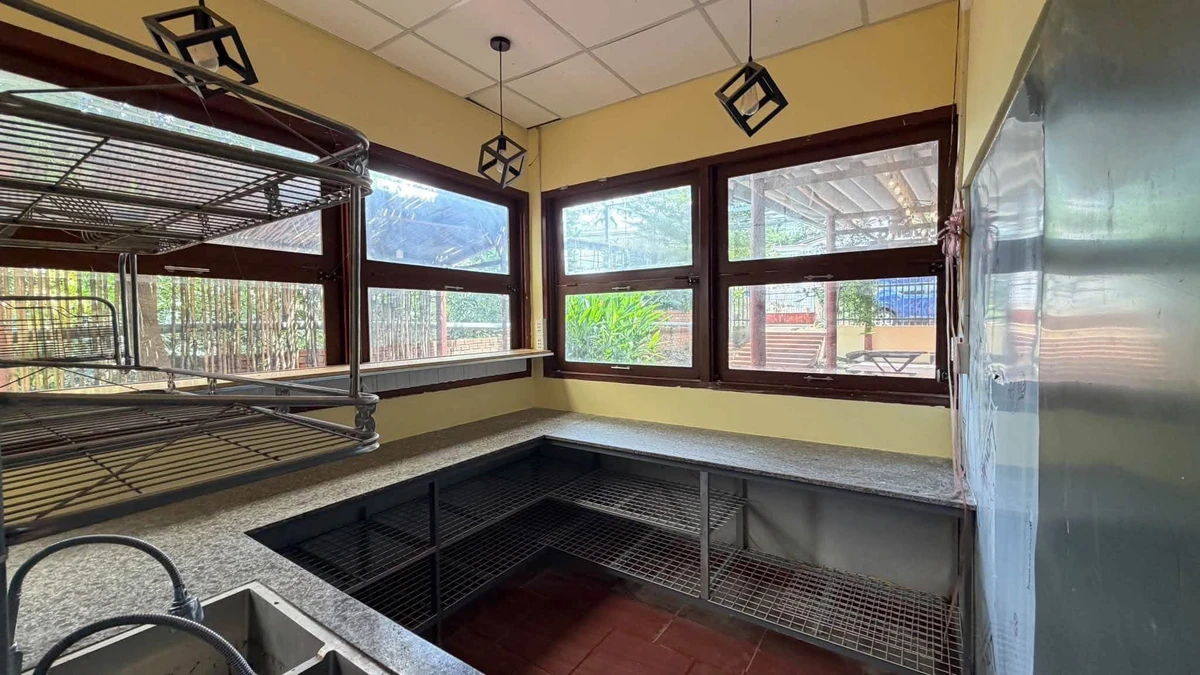 Bán nhà vườn 400m² đường 19B Hóc Môn - Ảnh thu nhỏ 3