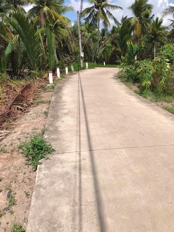Bán đất vườn 3.290m² Vĩnh Long, 650 triệu/1000m²