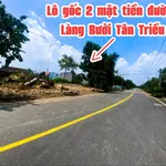 Bán lô góc 2 mặt tiền Làng Bưởi Tân Triều 64m2 - Ảnh thu nhỏ 2
