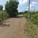 Bán đất Ngãi Giao Nhà Bè 1000m2 giá 1 tỷ 450 triệu - Ảnh thu nhỏ 5