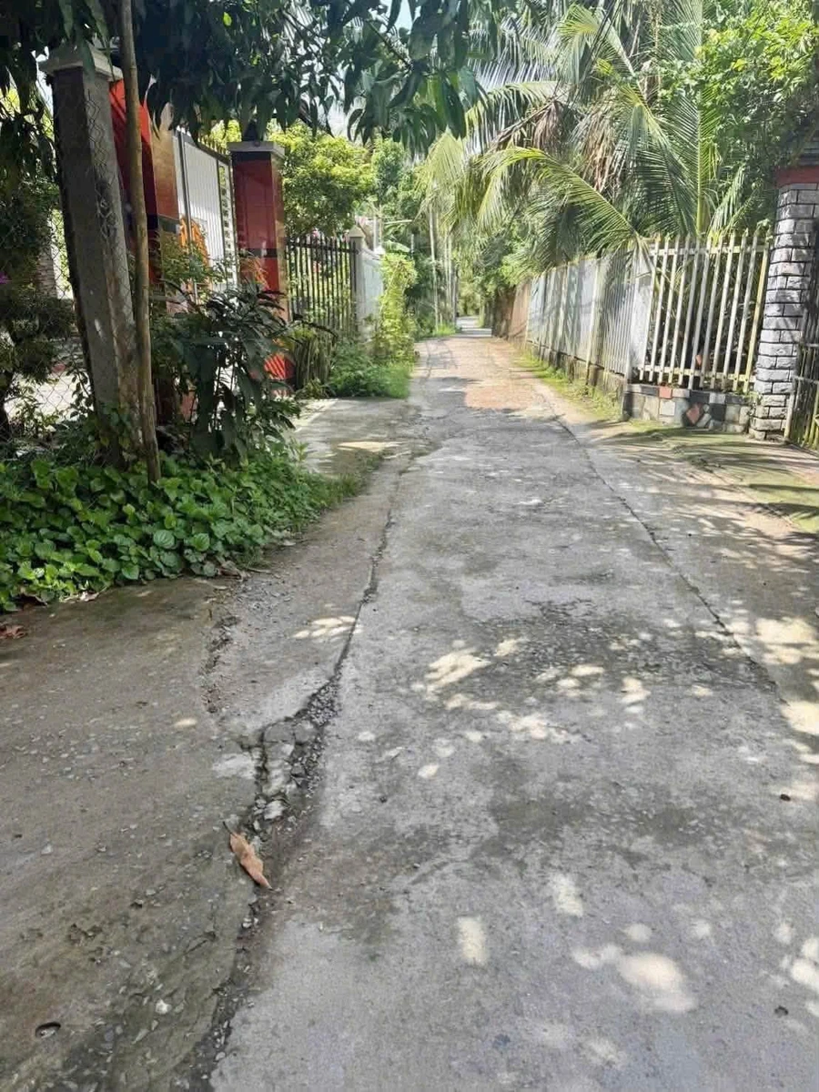 Bán nhà và đất 1000m2 tại Tân Thạch Bến Tre 750 triệu - Ảnh 1