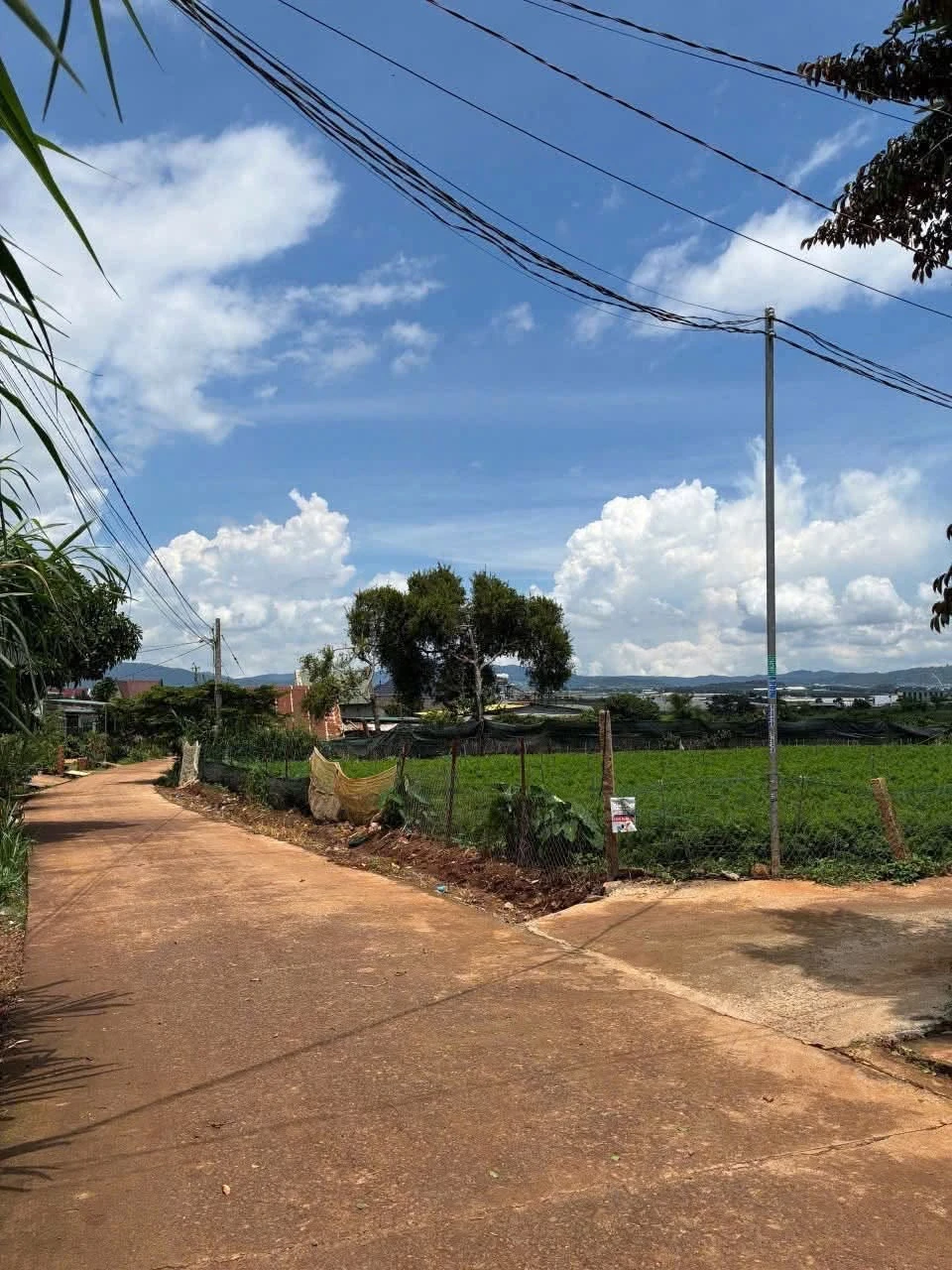 Bán đất 300m2 Suối Thông A Đạ Ròn Đơn Dương 799 triệu - Ảnh 1