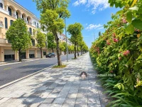LK 70m2 giá CỰC TỐT 8,1 tỷ, hướng đông nam, vừa ở vừa kinh doanh, ngay cạnh trường học, chung cư - Ảnh thu nhỏ 5