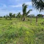 Bán lô đất 2.600m2 tại Hàm Liêm, Lâm Đồng - Ảnh thu nhỏ 3