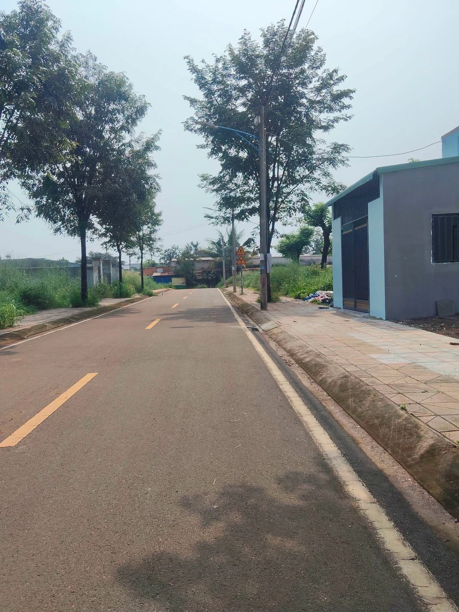 Bán đất Cát Tường Phú Hưng 100 m² Đồng Nai - Ảnh thu nhỏ 2