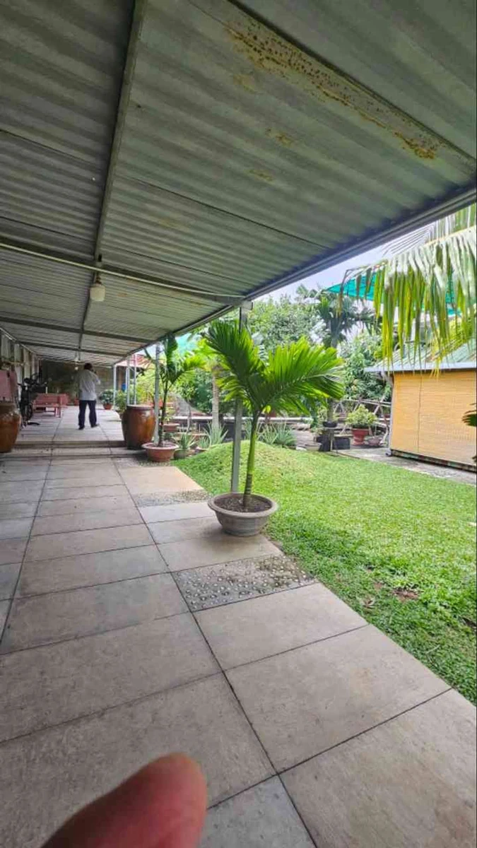 Nhà vườn 1030m2 Vĩnh Lộc A, Bình Chánh 17.5 tỷ - Ảnh thu nhỏ 3