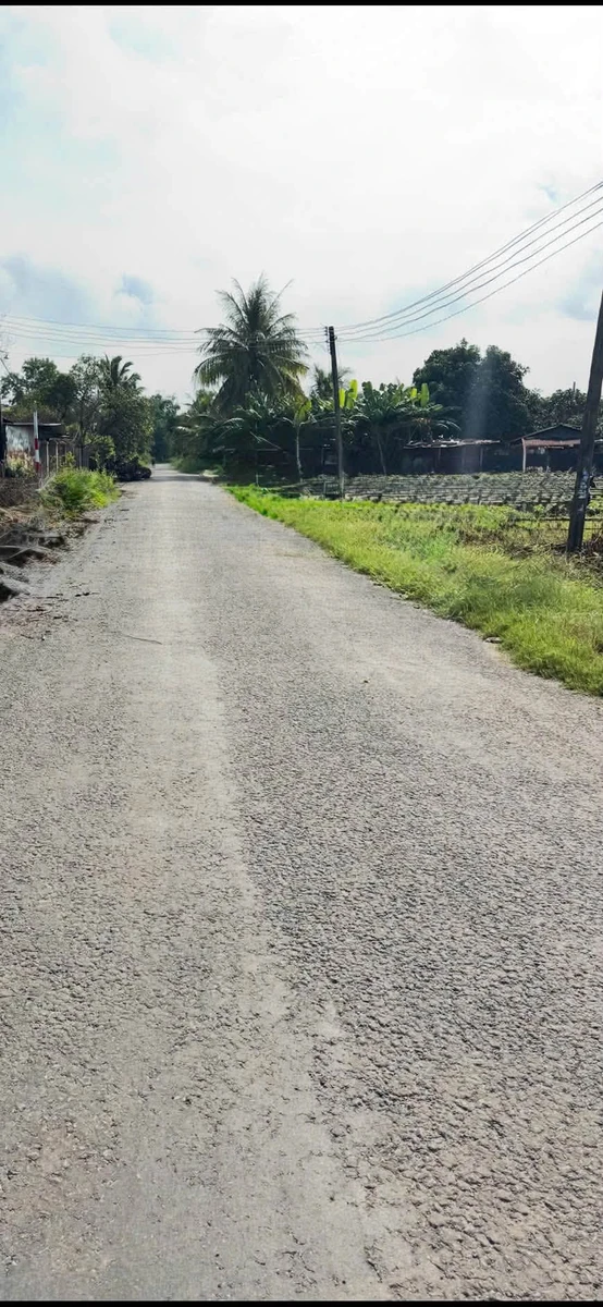 Bán đất góc 2 mặt tiền 50m² Tây Ninh - Ảnh thu nhỏ 3