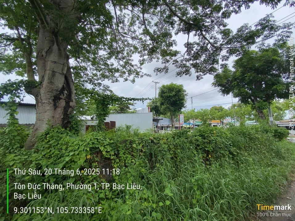 Ngân hàng bán trực tiếp 212,1m2 tại TD195, TBD45, KDC Bắc Trần Huỳnh, phường Bạc Liêu tỉnh Cà Mau - Ảnh thu nhỏ 2