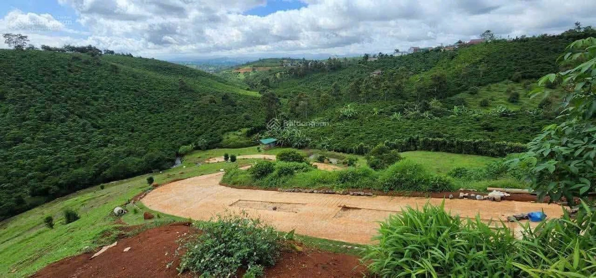 Bán đất 1ha Nguyễn Trãi, Bảo Lộc, giá 6,5 tỷ - Ảnh thu nhỏ 4