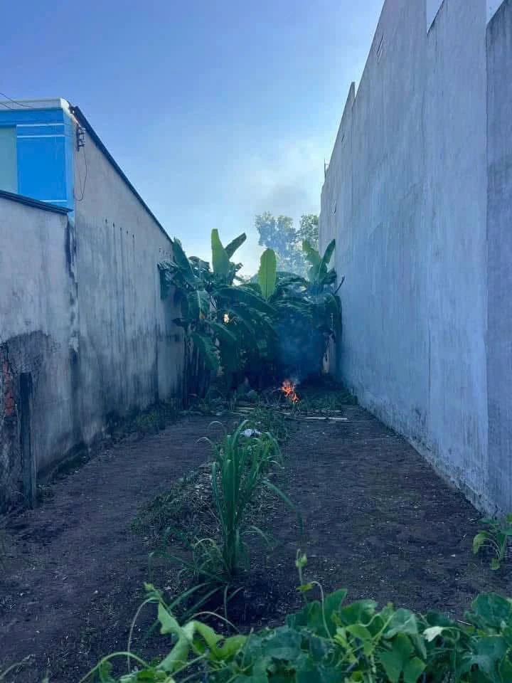 Bán đất 5x29m (99m²) Nguyễn Văn Linh, Long Hoa, Tây Ninh - Ảnh thu nhỏ 2