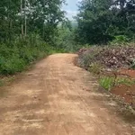 Bán đất 3.7 hectare cao su Phú Trung Bình Phước - Ảnh thu nhỏ 2