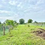 Bán đất gần 1 sào mặt tiền Hàm Liêm Hóc Môn 470 triệu - Ảnh thu nhỏ 3