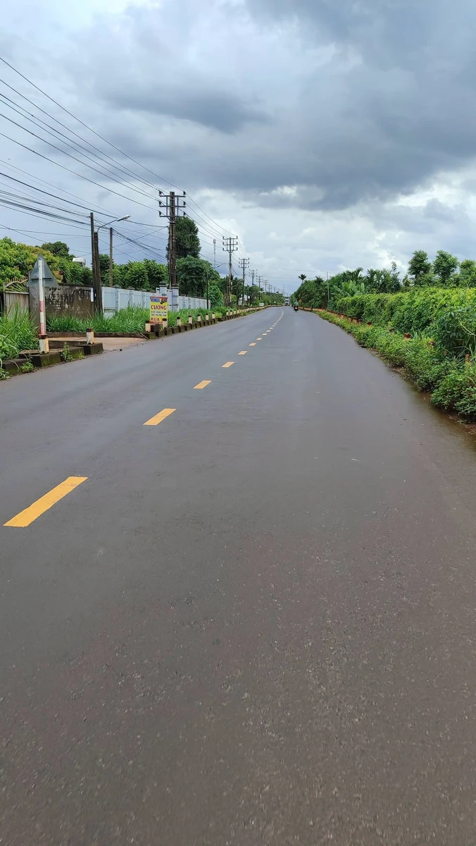Bán 2,3 ha đất sầu riêng mặt tiền Quốc Lộ 29, Đắk Lắk - Ảnh 1