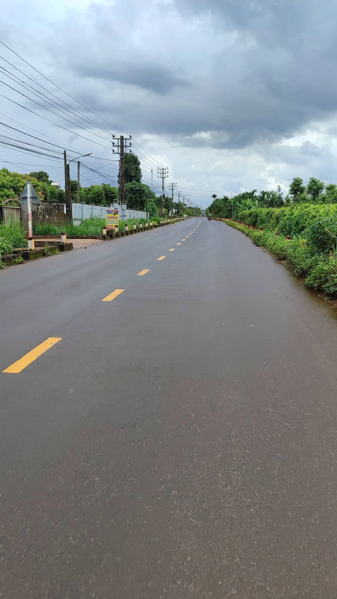 Bán 2,3 ha đất sầu riêng mặt tiền Quốc Lộ 29, Đắk Lắk - Ảnh 1