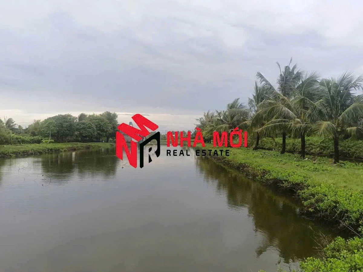 Bán đất vuông 36 công Phú Tân Cà Mau - Ảnh thu nhỏ 3