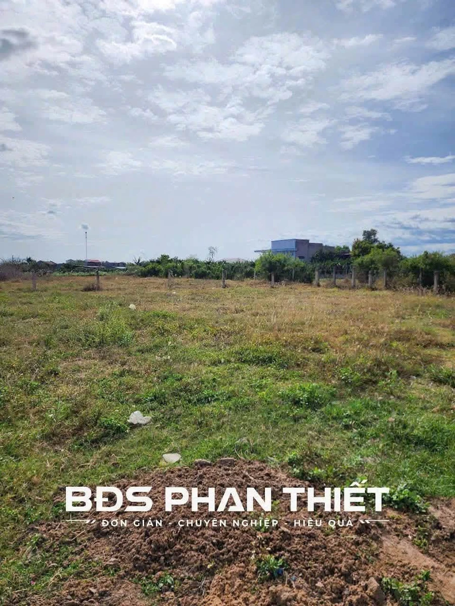 Bán đất vườn Hàm Liêm 976m² đường bê tông 5m - Ảnh thu nhỏ 2