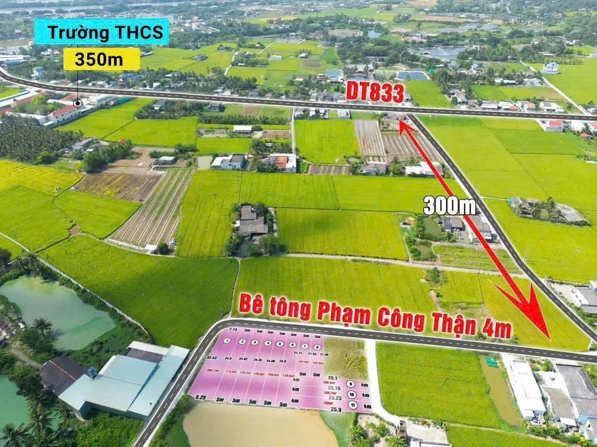 Bán đất thổ cư 170m² xã Đức Tân, Tân Trụ, Long An 430 triệu - Ảnh thu nhỏ 2