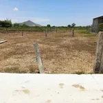 Bán lô đất Hàm Chính 518m2, Lâm Đồng - Ảnh thu nhỏ 3