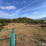 Văn Thủy 2 Cam An Khánh Hòa | hơn 5.000m2 | chỉ 150 triệu/sào - Ảnh thu nhỏ 6