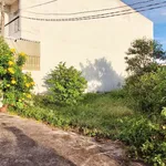 Bán 2 lô đất liền kề 94.5m² khu Ga Lê Duẫn, giá 1.29 tỷ - Ảnh thu nhỏ 3