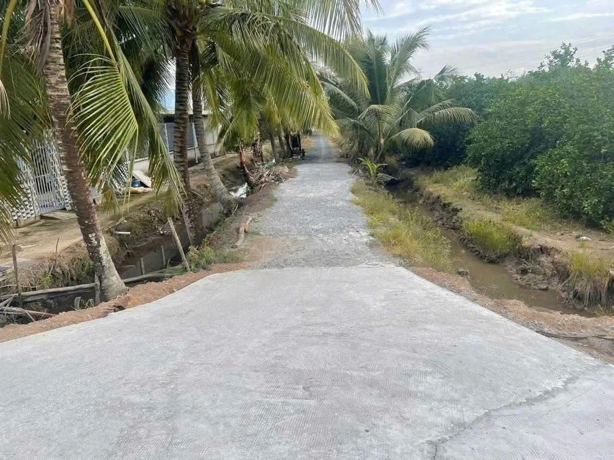 Bán 1000m2 đất vườn giá 390 triệu tại Bình Đức, Bến Lức, Long An - Ảnh thu nhỏ 2