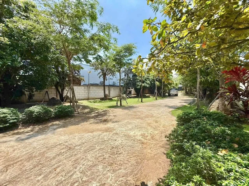 Bán biệt thự nhà gỗ quý 1.900m2 ở Xuyên Mộc 13 tỷ đồng