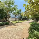 Bán biệt thự nhà gỗ quý 1.900m2 ở Xuyên Mộc 13 tỷ đồng - Ảnh thu nhỏ 1