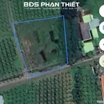 Bán đất 1.163m² tại Phú Hưng, Phan Thiết, giá 3 tỷ - Ảnh thu nhỏ 1