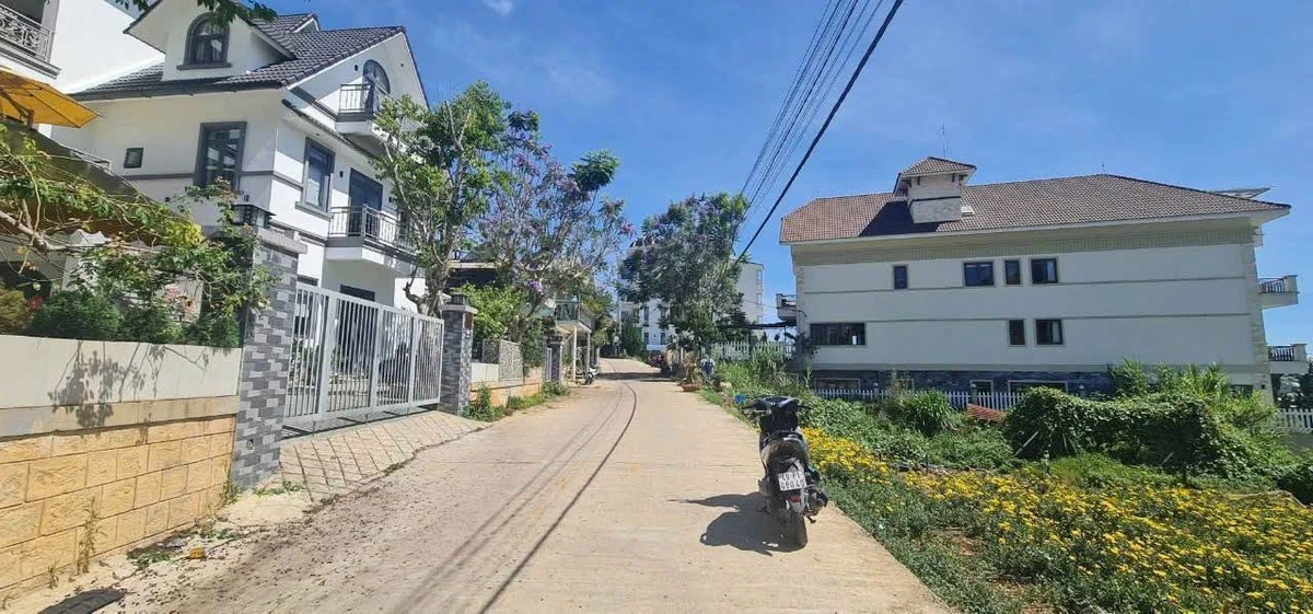 Bán đất đẹp SRXD 568m2 Phường 11 Đà Lạt 12 tỷ 5 - Ảnh thu nhỏ 3