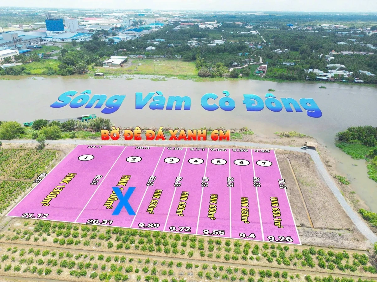 Bán đất mặt tiền sông Vàm Cỏ 1.300m² Cần Giờ 1,6 tỷ - Ảnh thu nhỏ 2