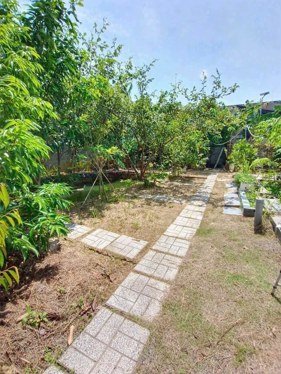 Bán nhà vườn 620m² Phường Bửu Long, giá 3 tỷ - Ảnh thu nhỏ 2