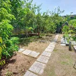 Bán nhà vườn 620m² Phường Bửu Long, giá 3 tỷ - Ảnh thu nhỏ 2