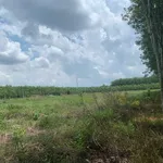 Bán đất Long Hoà, 400 m2, 37 triệu/m ngang - Ảnh thu nhỏ 5