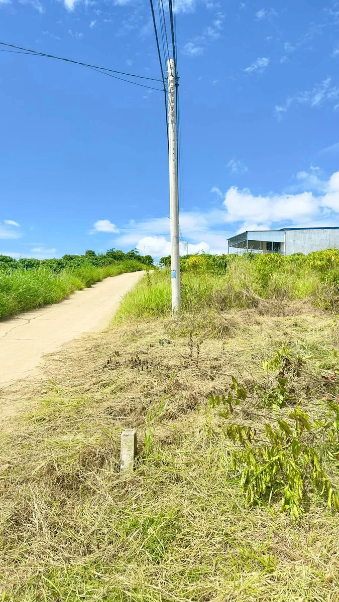 Bán đất Tân Đức, Đinh Văn Lâm, 225m² mặt tiền đường bê tông - Ảnh thu nhỏ 2