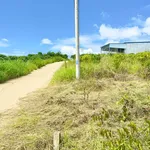 Bán đất Tân Đức, Đinh Văn Lâm, 225m² mặt tiền đường bê tông - Ảnh thu nhỏ 2